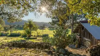 Ginger Martin + Co Presents | 5100 Lovall Valley Loop, Napa Valley