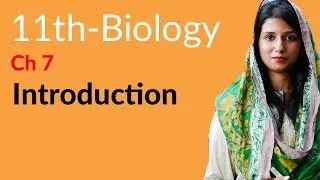 FSc Biology Part 1, Ch no 7 - Introduction to Kingdom Protista - Inter part 1 Biology