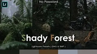 Lightroom tutorial | Shady Forest preset | Free Presets