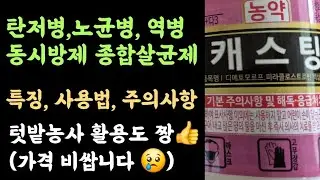 캐스팅액상수화제 😃 탄저병, 역병, 노균병 등 다양한 병해 종합살균제👍  특징, 주의사항, 사용방법 등😃 텃밭농사 활용도 짱 👍 