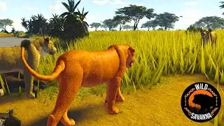 NEW COLORED LION!? Wild Savannah Funny/Weird Moments #8