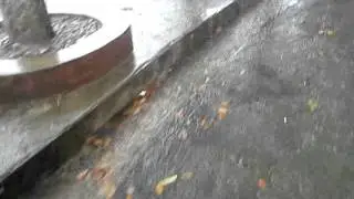Sudden rainfall @ Kathmandu on Tuesday 11 August 2011.