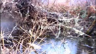 MVFL - Heaven (prod.traviswright) *rain mv*
