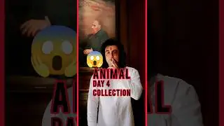 DAY 4 COLLECTION 😯 #animal #shorts #animalboxofficecollection