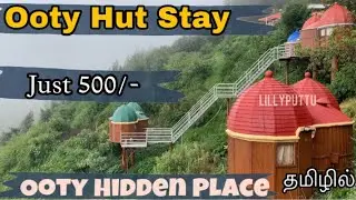 ₹500🔥இருந்தால் போதும் Ooty Vera level place