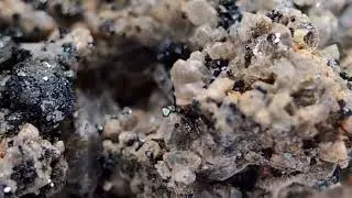 A+ Brookite on Smoky Quartz, Magnet Cove, Hot Spring County, Arkansas, w/ base (a closeup view)