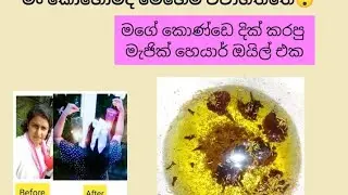 මගේ කොණ්ඩෙ දික් කරපු මැජික්  හෙයාර් ඔයිල් එක😯 / magic hair oil sinhala ( රෝස්මරි )