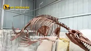 The Mesmerizing Hanging Mosasaur Skeleton