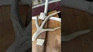 The knights Templar sword project, #antlercarving #wood  #antler #artwork #easyrider442 #art