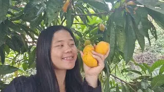 Yog koj paub yuav ua li cas thiaj zoo pab qhia paub os 🙂😊