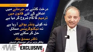No Wonder Boy Coming | System Will Continue as Is | Federal Minister Musadik Malik  Reveals