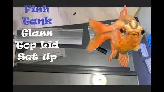 Aquarium Hinged Glass Top Lid Set-Up (10 Gallon Size)