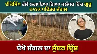 Guru Nanak Sacred Forest at Glenmore farms, Khambra, Jalandhar I EcoSikh I