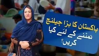 Why Are Millions Jobless in Pakistan? | Unemployment Reality You Must Know | Syeda Safina Malik