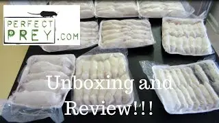PerfectPrey.Com Frozen Rodent Unboxing - Benjamin's Exotics