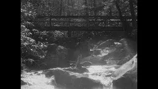 Bridge - 4K 16mm Short Film - Fantasy/Horror