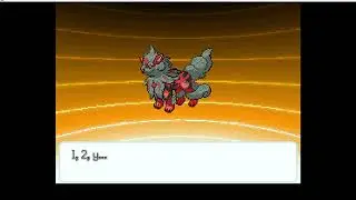NECESITAMOS LOS GACHAS - POKEMON CONSONANCIA EPISODIO 9