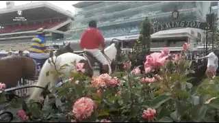 New Year's Race Day at Flemington