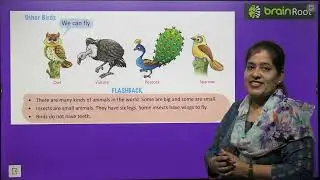 BRAIN ROOT SCIENCE SPARK CLASS 1 CHAPTER 4 TYPES OF ANIMALS