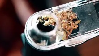 Chewy Grinder