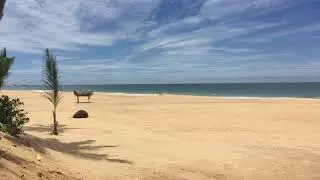 The view of Narigama Beach directly outside Suite Lanka
