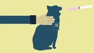 Tips for Giving Your Pets Medications at Home