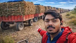 Gaon Mein ki gehun🌾 ki sinchai 💧