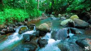 Silent River Flow 24/7 | Relaxing Water Sounds for Stress Relief, Calm Mind & Deep Sleep Healing