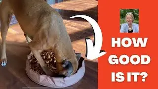 BUST Dog Boredom with This Vet Approved Dog Feeder Mat!