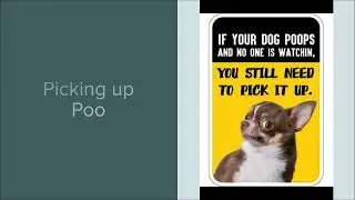 2023 Process Safety   Dog Safety video 19