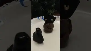 Santa vs Emperor Aftermath