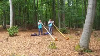 Alph&ouml;rner auf dem Momberg