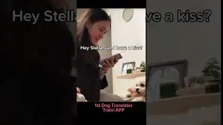 Traini Dog translator tested to be working by our users!