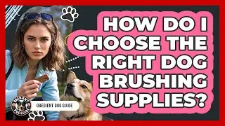 How Do I Choose The Right Dog Brushing Supplies?