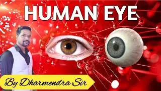 Human Eye, For SSC-GD, CHSL, CGL, MTS, Railway Group D # Dharmendra Sir