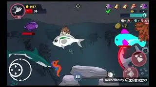 Fish Royale com Samsam no Royale 