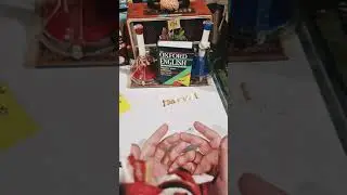 What does the word  