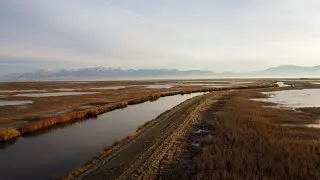Bear River Migratory Bird Refuge | Salt Creek WMA