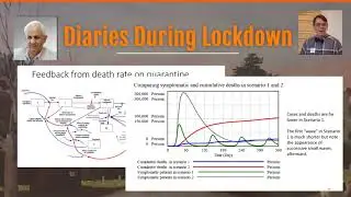 Introduction to Diaries During Lockdown