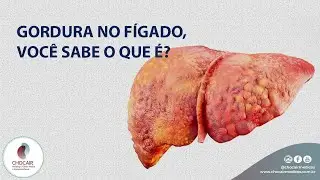 Gordura no fígado: você sabe o que é? | Chocair Médicos Associados