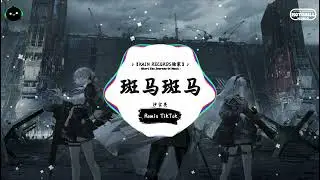 斑马斑马 (抖音DJ版) - 沙宝亮『斑马斑马 你不要睡着啦，再给我看看你受伤的尾巴。』♪ || 抖音最火歌曲音 | 抖音 | TikTok ♪