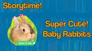 Super Cute! Baby Rabbits - Storytime Read Aloud