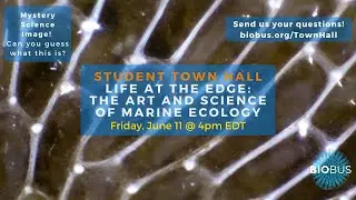 BioBus Student Town Hall: Life at the Edge - The Art and Science of Marine Ecology