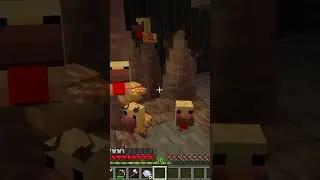 Chickens