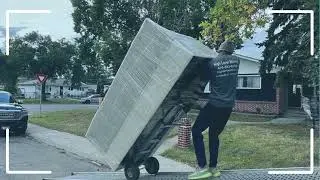 Best movers North York