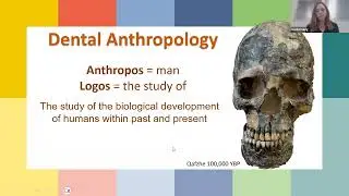 Dental Anthropology and Clues to the Past