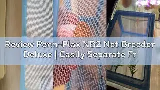 Review Penn-Plax NB2 Net Breeder Deluxe | Easily Separate Fry for Safety | Simple to Install and Adj
