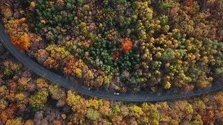 Aerial of Car Driving Through Sunny Autumn Forest | Stock Footage - Videohive