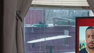 Heated bird bath!