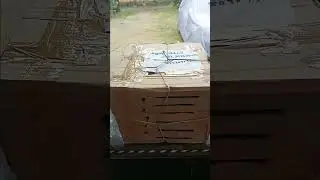 Ready for delivery #farmer #chicken #farm #onlinedelivery #poultryfarm #nadan #kozhi #chavara